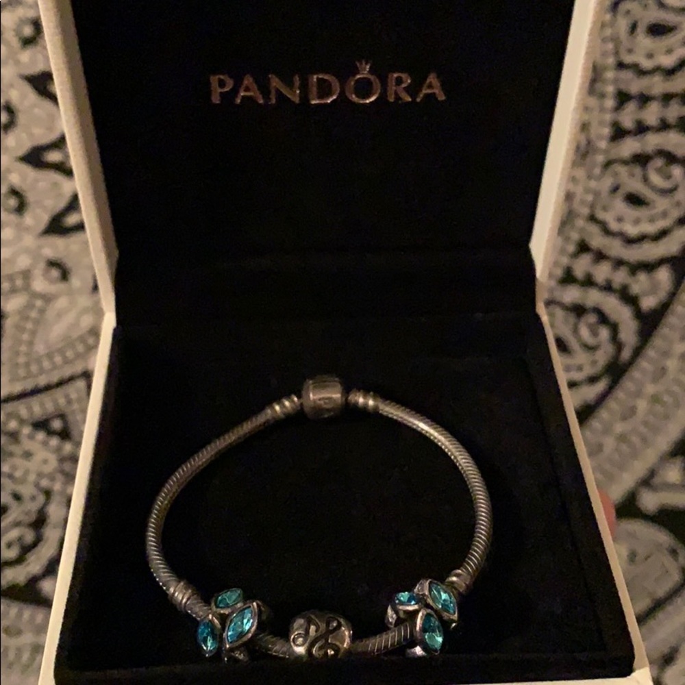 Pandora charm bracelet